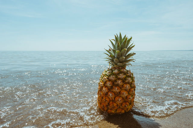 Pineapple Beach Day