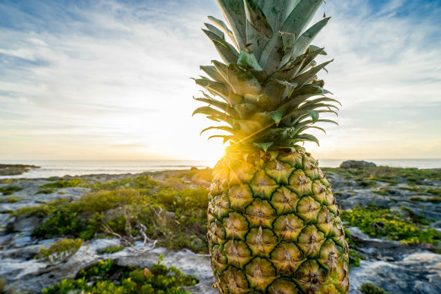 Pineapple Sunrise